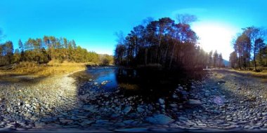 Vahşi dağların, çam ormanlarının ve nehir akışlarının 360 VR sanal gerçekliği. Ulusal park, çayır ve güneş ışınları.