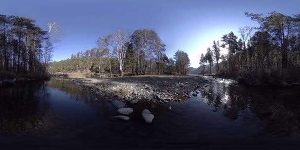 360 VR virtuelle Realität eines wilden Gebirges, Kiefernwaldes und Flusses fließt. Nationalpark, Wiese und Sonnenstrahlen. — Stockvideo