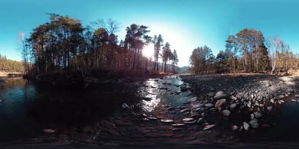 360 VR virtual reality van een wilde bergen, dennenbos en rivierstromen. Nationaal park, weide en zonnestralen. — Stockvideo