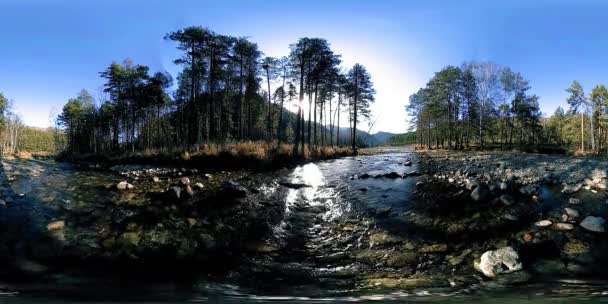 360 VR realidad virtual de montañas salvajes, bosques de pinos y ríos fluye. Parque Nacional, prados y rayos de sol. — Vídeo de stock