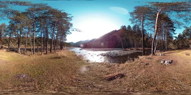 360 VR virtual reality van een wilde bergen, dennenbos en rivierstromen. Nationaal park, weide en zonnestralen. — Stockvideo