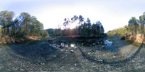 360野生の山、松林や川の流れのVR仮想現実。国立公園、牧草地、太陽光線. — ストック動画