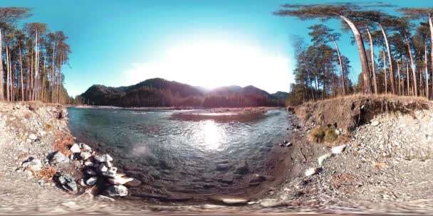 360 VR realidad virtual de montañas salvajes, bosques de pinos y ríos fluye. Parque Nacional, prados y rayos de sol. — Vídeo de stock