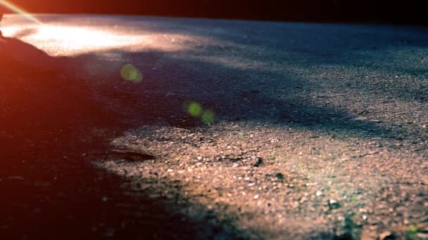 Sport man running at asphalt road. Rural city park. Green tree forest and sun rays on horizon. — Stock Video