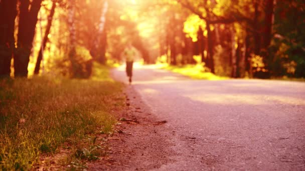 Un uomo sportivo che corre sulla strada asfaltata. Parco urbano rurale. Bosco alberato verde e raggi di sole all'orizzonte. — Video Stock