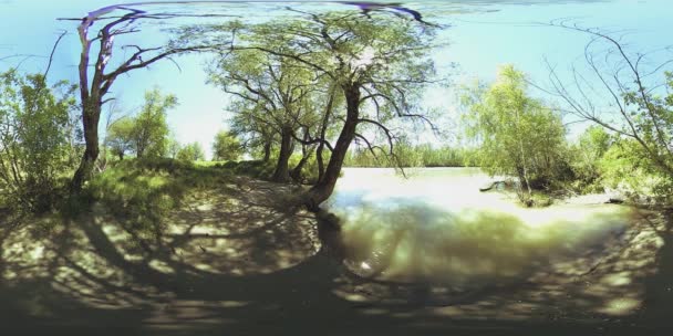 UHD 4k 360 Vr Virtual Reality van een rivier stroomt over rotsen in het prachtige berglandschap van de bos — Stockvideo