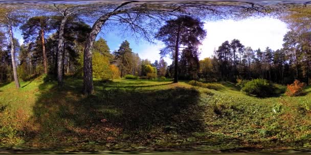 UHD 4K 360 VR Realtà Virtuale di un'area ricreativa del parco cittadino. Alberi ed erba verde al giorno d'autunno o d'estate — Video Stock
