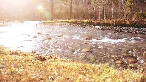 Dolly deslizante tiro da água espirrando em um rio de montanha perto da floresta. Rochas molhadas e raios solares. Movimento horizontal estável. — Vídeo de Stock