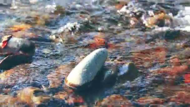 Dolly slider shot of the splashing water in a mountain river near forest. Rochers humides et rayons du soleil. Mouvement horizontal régulier. — Video