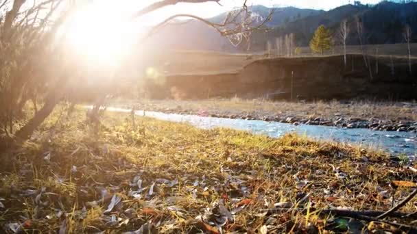 Dolly-Slider-Aufnahme des plätschernden Wassers in einem Gebirgsfluss in Waldnähe. Nasse Felsen und Sonnenstrahlen. Horizontale stetige Bewegung. — Stockvideo