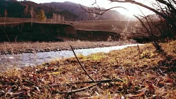 Motorgetriebene Schieberegler Schossen Auf Das Plätschernde Wasser Einem Kleinen Gebirgsfluss — Stockvideo