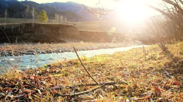 Dolly deslizante tiro da água espirrando em um rio de montanha perto da floresta. Rochas molhadas e raios solares. Movimento horizontal estável. — Vídeo de Stock