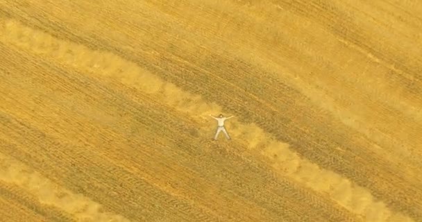 空撮。黄色の麦畑の上に横たわる男以上上下動フライト — ストック動画