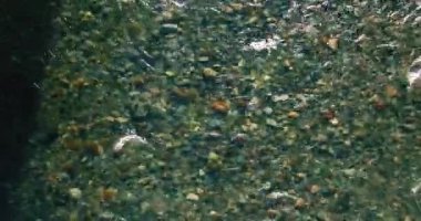 Güneşli yaz sabahında temiz ve taze bir dağ nehri üzerinde uçuşun ortasındayız. Üst görünüm ve yatay hareket