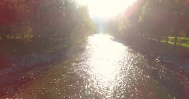 Mittlerer Luftflug über einen frischen und sauberen Gebirgsfluss an einem sonnigen Sommermorgen — Stockvideo