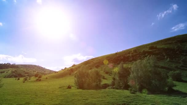 Tempo sul prato di montagna durante l'estate. Nuvole, alberi, erba verde e raggi del sole movimento. — Video Stock