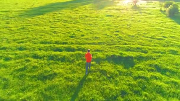 Політ над спортивний людина, що біжить в ідеальний зелена трава сільських луг позашляховий. Захід сонця у гори — стокове відео