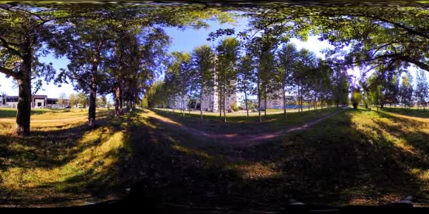 UHD 4K 360 VR都市公園レクリエーションエリアの仮想現実。秋または夏の日の木や緑の草 — ストック動画