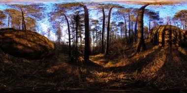 4K 360 VR sonbahar zamanındaki güzel bir dağ manzarasının sanal gerçekliği. Vahşi Sibirya Dağları.