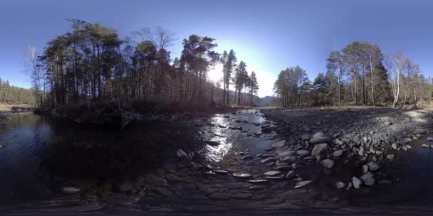 360 VR virtual reality of a wild mountains, pine forest and river flows. National park, meadow and sun rays. — Stock Video