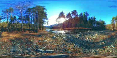 Vahşi dağların, çam ormanlarının ve nehir akışlarının 360 VR sanal gerçekliği. Ulusal park, çayır ve güneş ışınları.