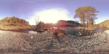 Vahşi dağların, çam ormanlarının ve nehir akışlarının 360 VR sanal gerçekliği. Ulusal park, çayır ve güneş ışınları.