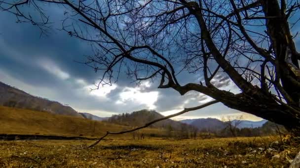 Waktu selang pohon kematian dan rumput kuning kering di lanskap pegunungan dengan awan dan sinar matahari. Pergerakan penggeser horisontal — Stok Video