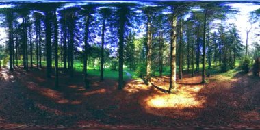 Bir şehir parkının UHD 4K 360 VR Sanal Gerçekliği. Sonbaharda ya da yaz gününde ağaçlar ve yeşil çimenler. Yol ve güneş ışınları. Özgün ses.