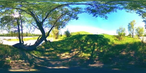 UHD 4K 360 VR La realidad virtual de un río fluye sobre rocas en un hermoso paisaje de bosque de montaña — Vídeo de stock