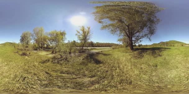 UHD 4K 360 VR Virtuální realita řeky teče přes skály v krásné horské lesní krajině — Stock video