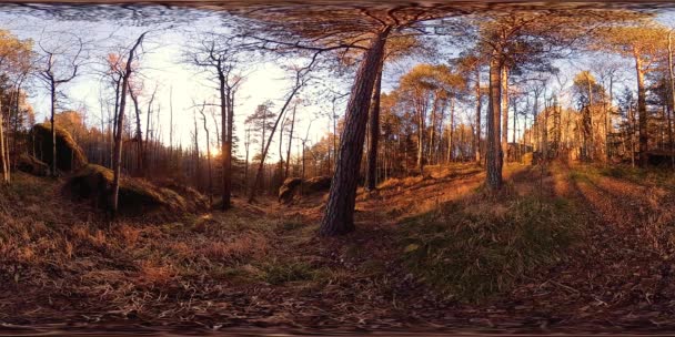 4K 360 VR Virtual Reality einer wunderschönen Bergszene zur Herbstzeit. Wilde sibirische Berge. — Stockvideo