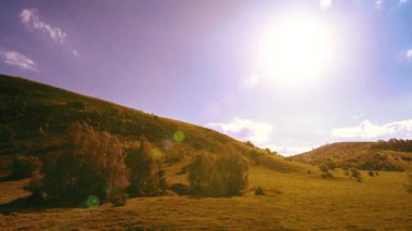 Yaz aylarında dağdaki çayır zaman çizelgesi. Bulutlar, ağaçlar, yeşil çimenler ve güneş ışınları hareketi.