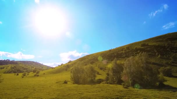 Bergwiesen-Zeitraffer im Sommer. Wolken, Bäume, grünes Gras und Sonnenstrahlen. — Stockvideo