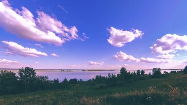 Ocean bank and grass meadow timelapse at the summer or autumn time. Wild nature, sea coast and rural field. — Stock Video