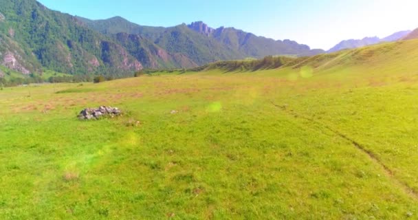 Vuelo sobre el rebaño de caballos salvajes en el prado. Primavera montañas naturaleza salvaje. Concepto de ecología de libertad. — Vídeo de stock