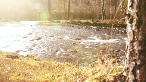 Dolly deslizante tiro da água espirrando em um rio de montanha perto da floresta. Rochas molhadas e raios solares. Movimento horizontal estável. — Vídeo de Stock