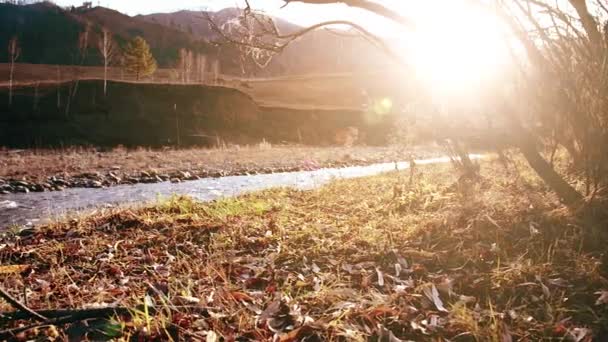 Dolly-Slider-Aufnahme des plätschernden Wassers in einem Gebirgsfluss in Waldnähe. Nasse Felsen und Sonnenstrahlen. Horizontale stetige Bewegung. — Stockvideo