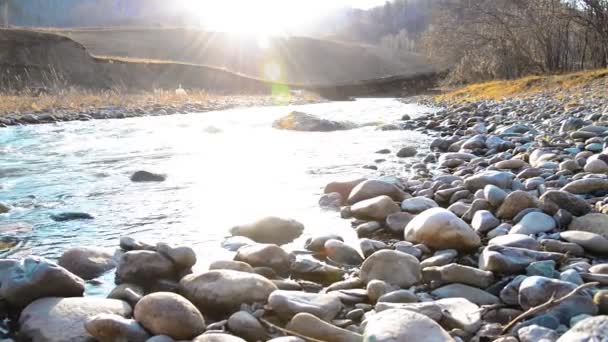 Dolly slider shot van het spetterende water in een berg rivier in de buurt van bos. Natte rotsen en zonnestralen. Horizontale constante beweging. — Stockvideo