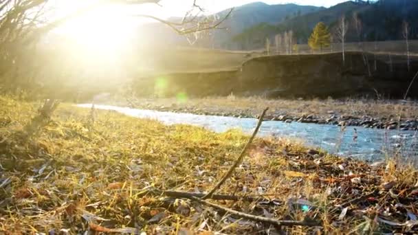 Dolly-Slider-Aufnahme des plätschernden Wassers in einem Gebirgsfluss in Waldnähe. Nasse Felsen und Sonnenstrahlen. Horizontale stetige Bewegung. — Stockvideo