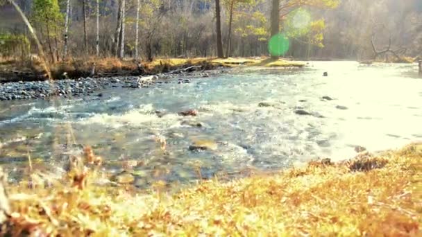 Dolly csúszka lövés a fröccsenő víz egy hegyi folyó közelében erdő. Nedves kövek és napsugarak. Vízszintes állandó mozgás. — Stock videók