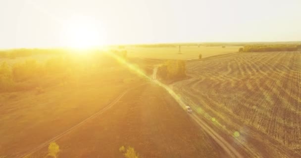 UHD 4K vedere aeriană. Zbor în aer peste câmp rural galben și drum de murdărie — Videoclip de stoc