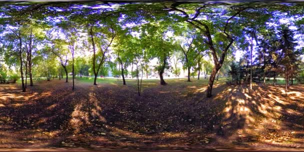 UHD 4K 360 VR Réalité virtuelle d'un parc municipal zone de loisirs. Arbres et herbe verte le jour d'automne ou d'été