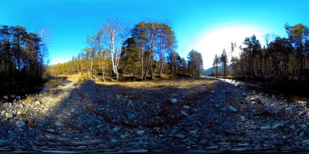 360 VR realtà virtuale di una montagna selvaggia, pineta e fiumi scorre. Parco nazionale, prato e raggi del sole. — Video Stock