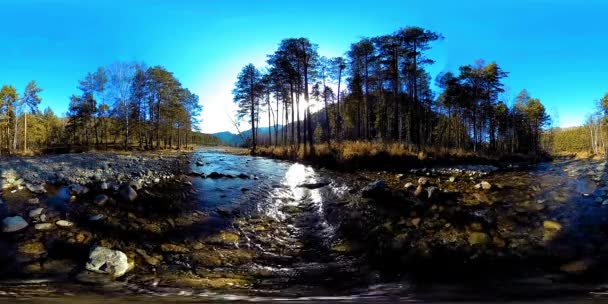 360 VR virtual reality van een wilde bergen, dennenbos en rivierstromen. Nationaal park, weide en zonnestralen. — Stockvideo