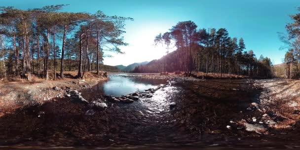 360野生の山、松林や川の流れのVR仮想現実。国立公園、牧草地、太陽光線. — ストック動画