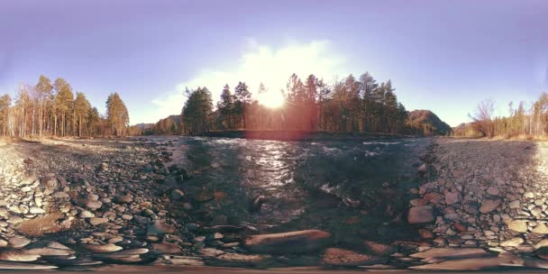 360 VR réalité virtuelle d'une montagne sauvage, pinède et rivière coule. Parc national, prairie et rayons du soleil. — Video