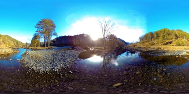 360 VR réalité virtuelle d'une montagne sauvage, pinède et rivière coule. Parc national, prairie et rayons du soleil. — Video