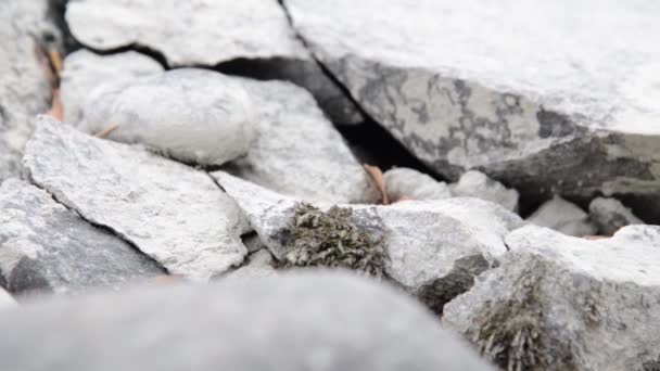 Dolly slider shot of the splashing water in a mountain river near forest. Rochers humides et rayons du soleil. Mouvement horizontal régulier. — Video