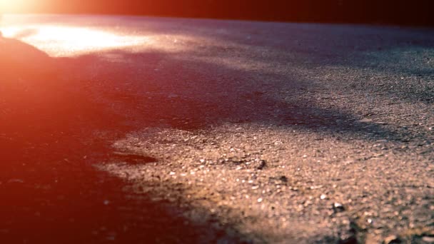 Sport man running at asphalt road. Rural city park. Green tree forest and sun rays on horizon. — Stock Video