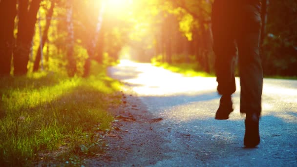 Deportivo corriendo en la carretera de asfalto. Parque rural de la ciudad. Bosque de árboles verdes y rayos de sol en el horizonte. — Vídeos de Stock